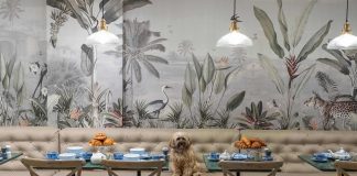 The luxury pet lifestyle brand and grooming parlour, Love My Human has launched a one of a kind townhouse concept store.