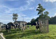 At Waitrose-owned Leckford Estate, the grocer is trialling tractors powered by cow manure. Could the grass be greener for regenerative agriculture?